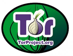 torrent with tor browser mega вход