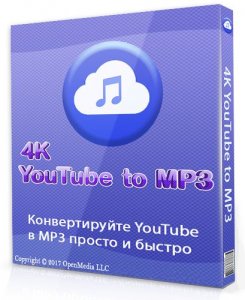 4K YouTube to MP3 4.2.0.4450 (2021) РС | RePack & Portable by elchupacabra