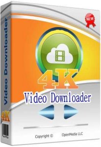 4K Video Downloader 4.18.4.4550 (2021) PC | RePack & portable by KpoJIuK