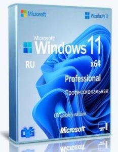 Windows 11 Professional VL x64 21H2 RU by OVGorskiy 11.2021