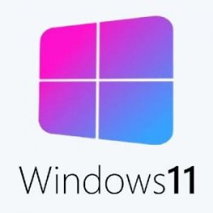 Игровая сборка Windows 11 Pro 21H2 22000.376 x64