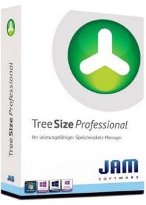 TreeSize Professional 8.2.1.1622 (2021) PC