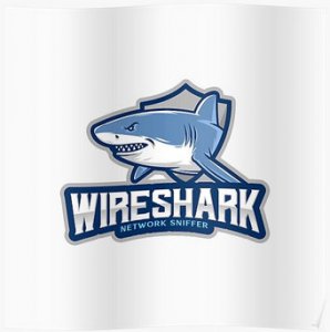 Wireshark 3.6.6 (2021) PC | + Portable