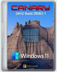 Windows 11 Pro Русская 24H2 Build 26063.1 Canary